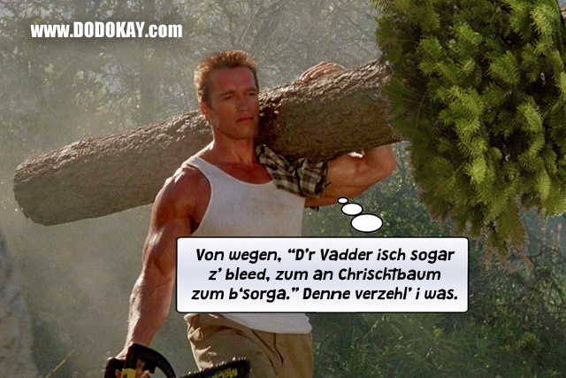 Dodokay Arnold Schwarzenegger Weihnachten