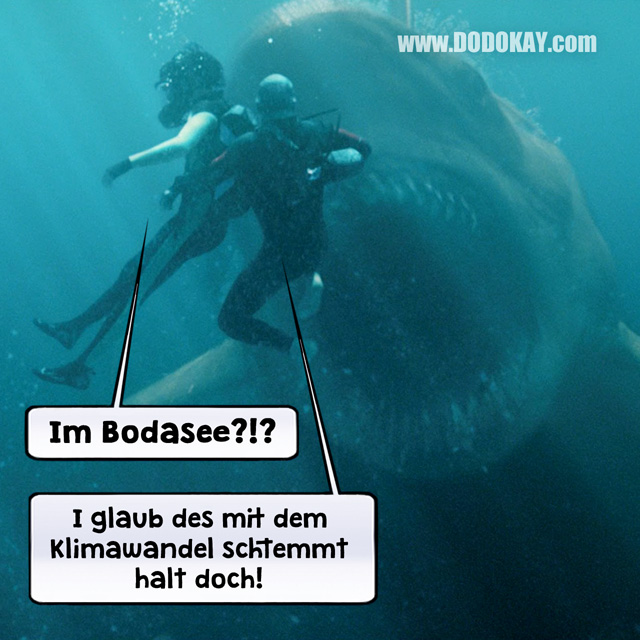 Dodokay The Meg Haifisch Bodensee Tauchen Klimawandel