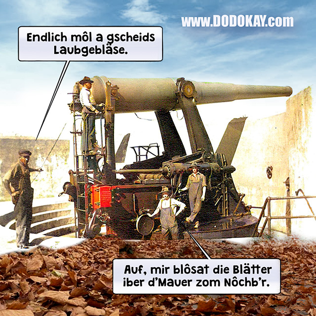 Dodokay Laubgebläse Vanishing Gun Dodokay Laubgebläse Vanishing Gun